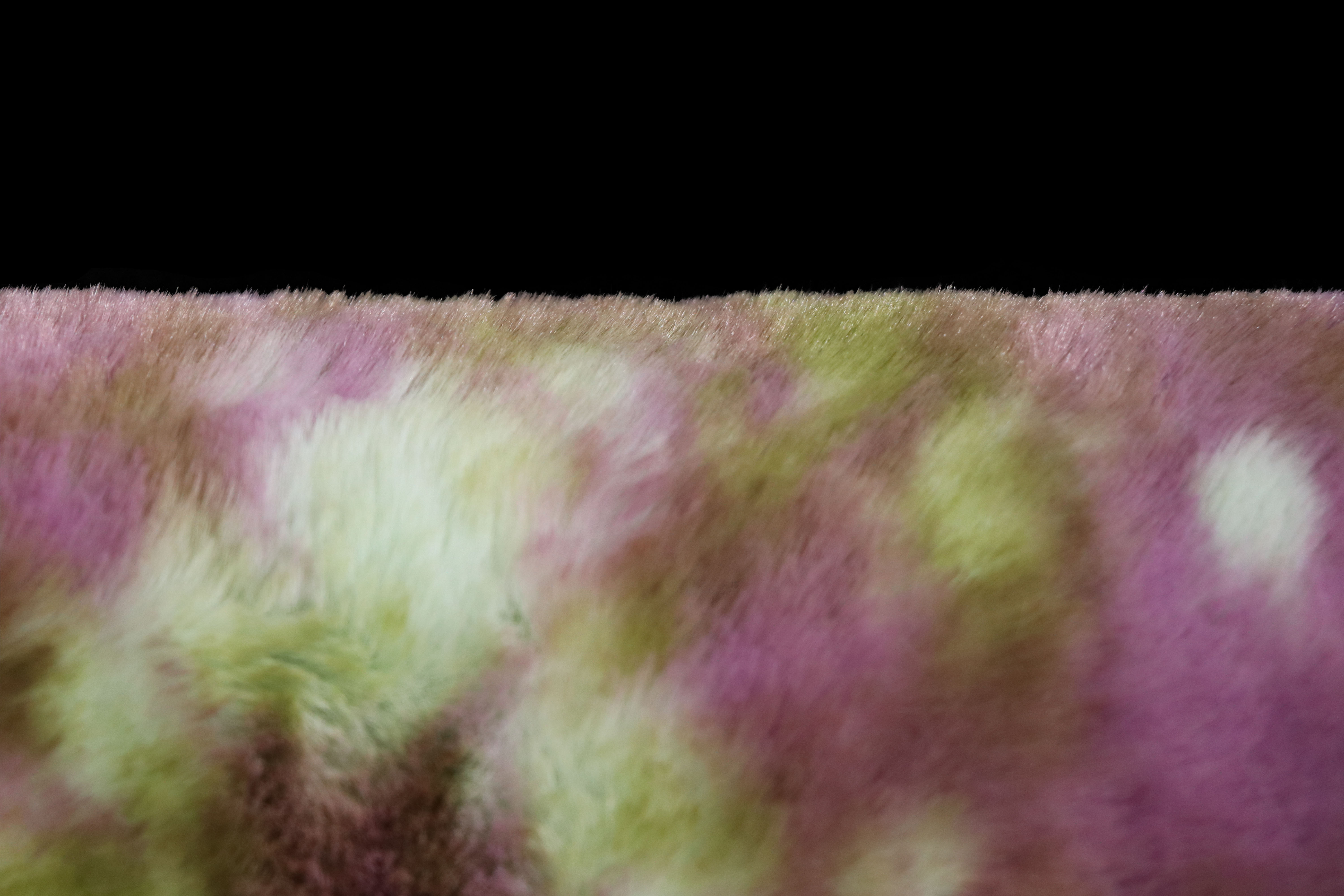 IMG_2879.jpg
