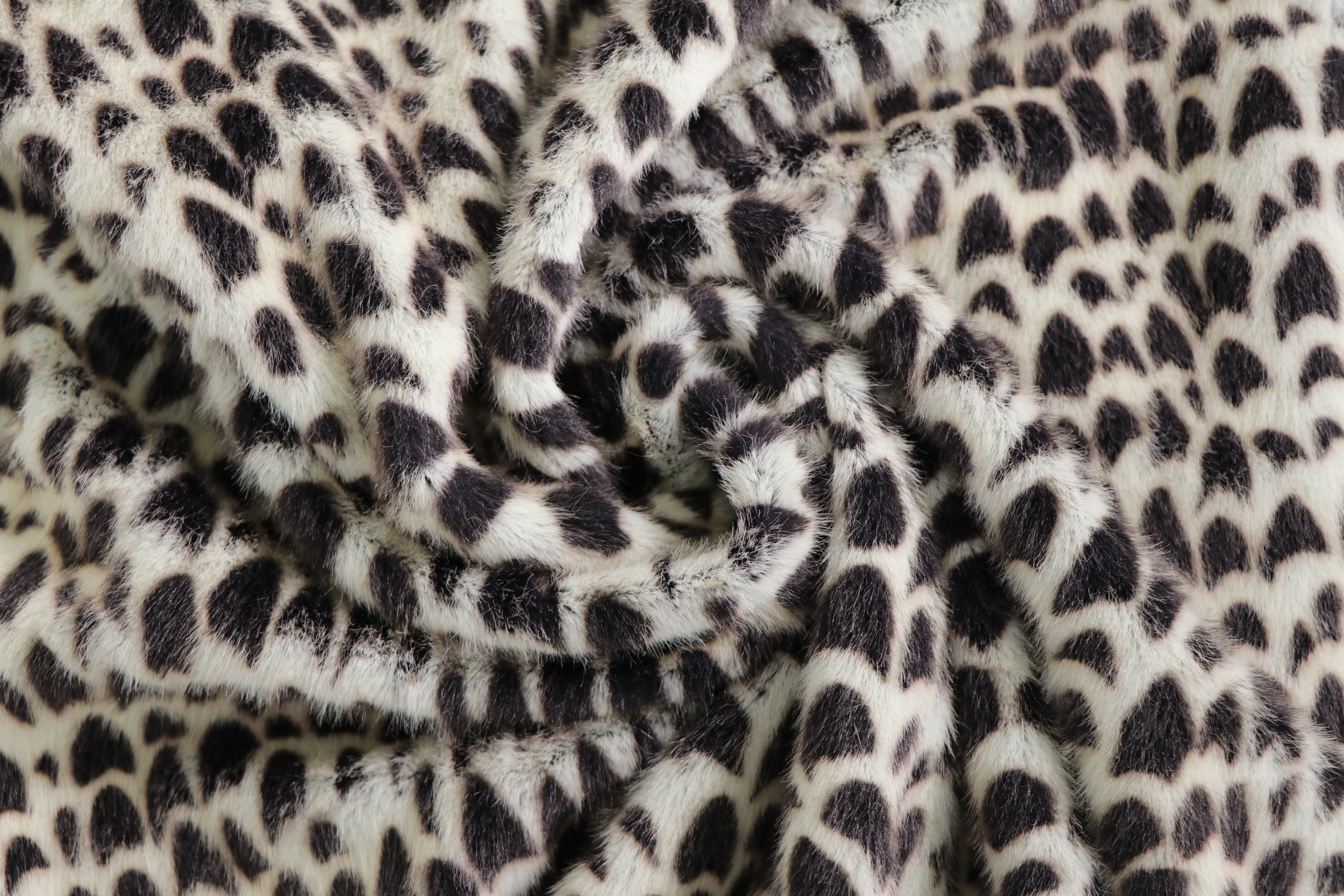 IMG_1345.JPG