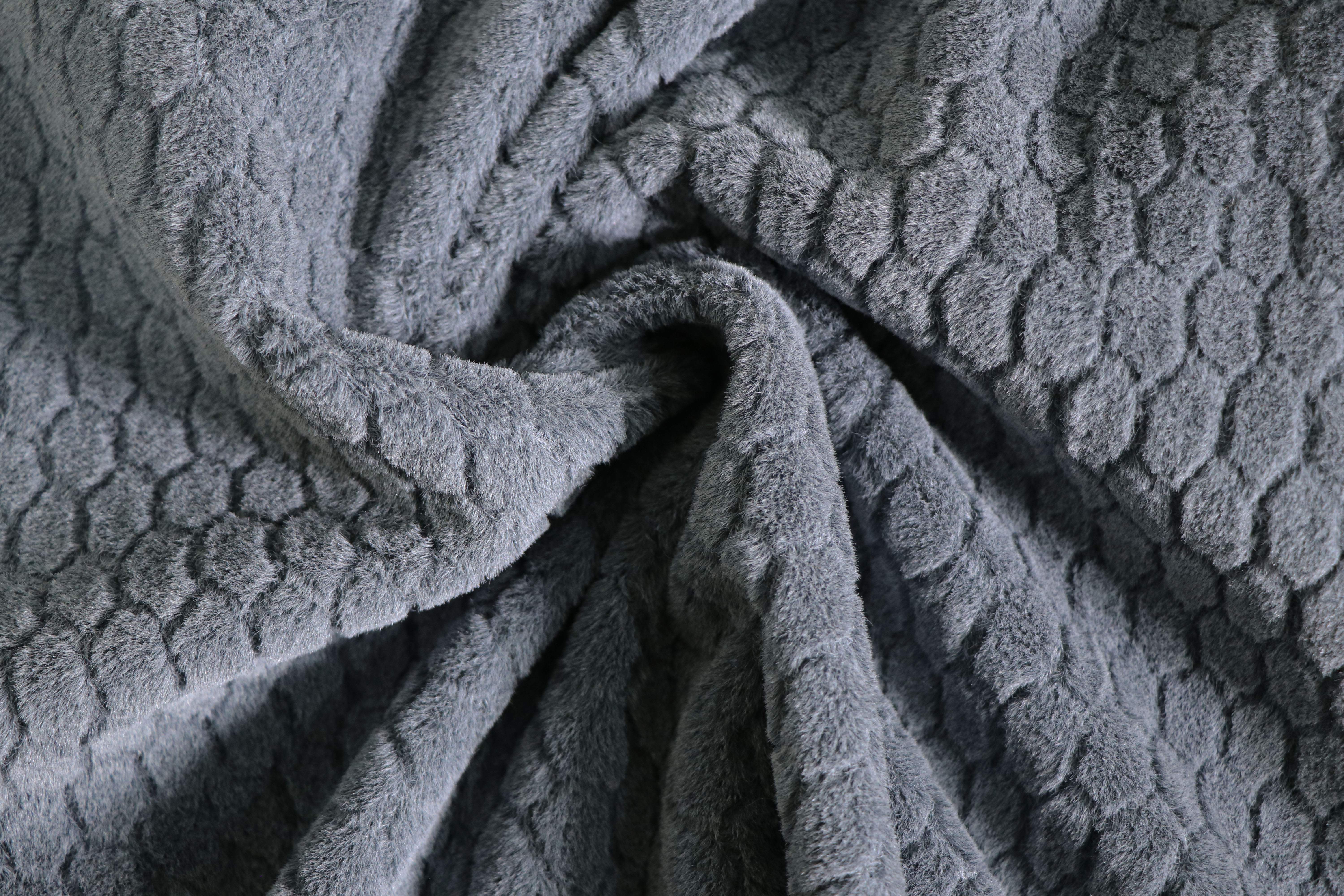 IMG_2966.jpg