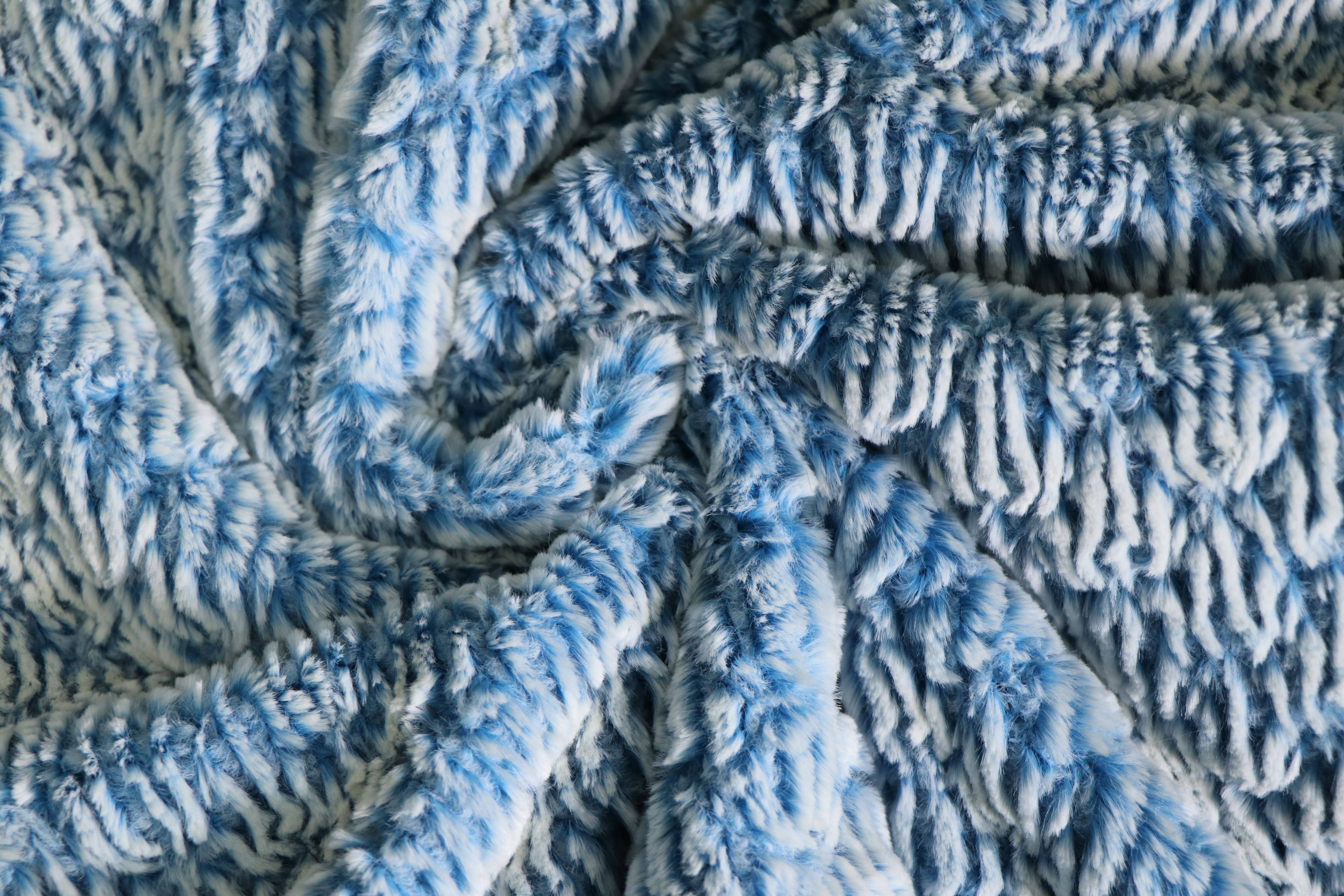 IMG_3240.JPG